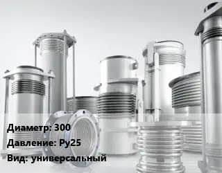 Компенсатор 300 Ру25 универсальный